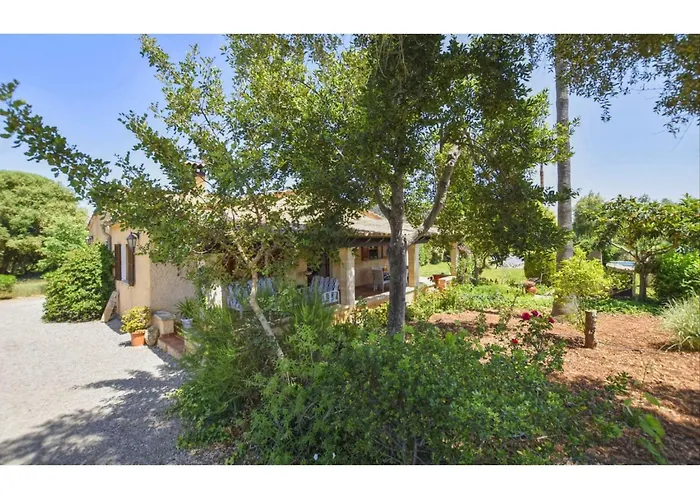 In Near Cala San Vicenc *