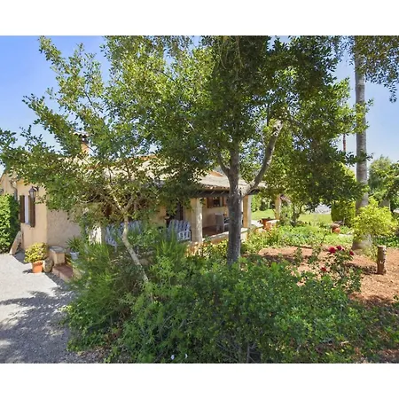 In Near Cala San Vicenc *